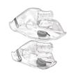 Aspen Nebulizador BRCN116 + Aspirador Nasal ANM12
